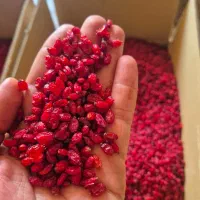 پخش زرشک پفگی اعلا و پودر زعفران