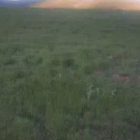 زمین زراعی روستای پیام جاده بی سیم