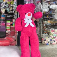 شاسخین غول ۲ متری و بزرگتر