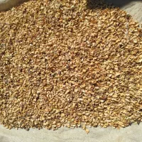 پوس بادام و پسته بالاترین قیمت