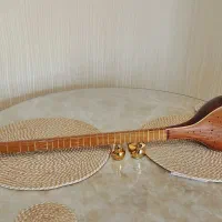 سه تار احسان حیدری