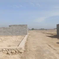 زمین باغی سند دار گورک محمدرحیمی