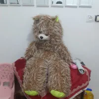 خرس قهوه ای پرپشم