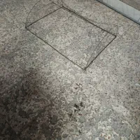 تله کبوتر