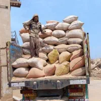خاک اره پخش سراسری