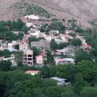 باغ میوه