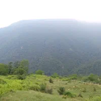فروش فوری215مترزمین ویلایی دررستای زیبای پاقلعه
