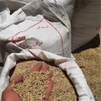 جو دوپر