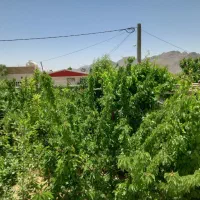 خانه-باغ-160متری-سانیج