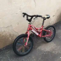 دوچرخه ۱۶ حرفه ای