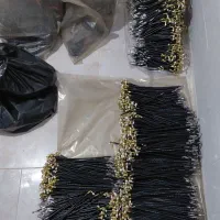 فروشنده تلفنی کار درمنزل خانوم ۱۰تا۴۰میلیون