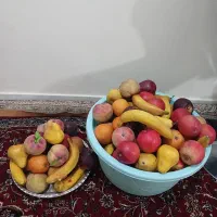 میوه مصنوعی