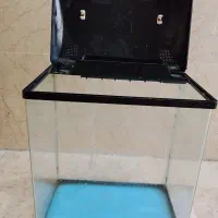 آکواریوم شیشه خم ساده شرکتی برند اکوا