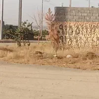 نگهبان جوان منظم وبادقت اشپزی بلدباشددرحدمعمولی