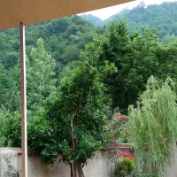 ویلا جنگلی در دل کوه