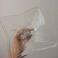 سرویس بلور
