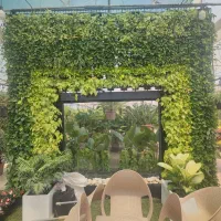 دیوار سبز در تبریز . طراحی و اجرای گرین وال طبیعی