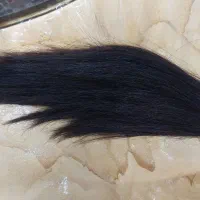 مو طبیعی بدون رنگ