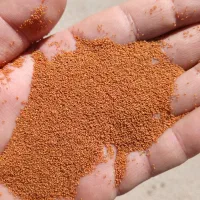 خاکشیر سوپرممتاز