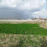 زمین-ویلایی-در-ینگی-کند
