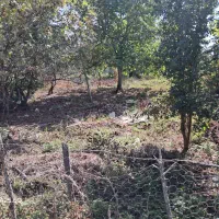 زمین-مسکونی
