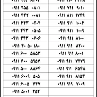 ۰۹۱۱-۱۱۰۰۰-۴۲