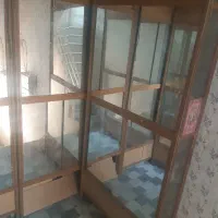 پاتریشن