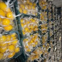 فروش لیمو سنگی تک نایلون