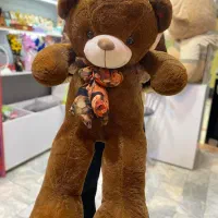 خرس اورجینال ضد حساسیت.قابل شستشو