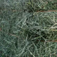 پرس یونجه خشک،چین چهارم ساقه نازک و پر گل