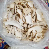 کشک و خوشکو و روغن و عسل محلی همشون برای فروش