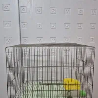 قفس پرنده