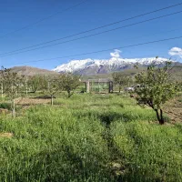 باغ ترشاب