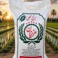 برنج عنبربو جنوب و شمال کالابرگ