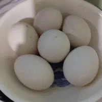 تخم مرغ مینیاتوری