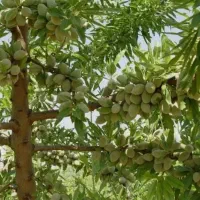 تناژ4برابری میخواهی تماس بگیر
