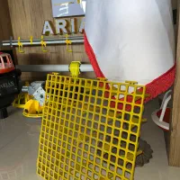 اسلت پلاستیکی صنعتی ،مرغداری، دامداری ، غذایی