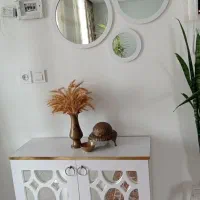 جاکفشی و آینه