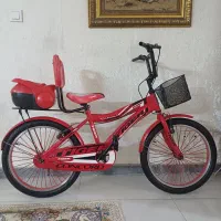 دوچرخه سایز ۲۰ تایگر