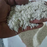 برنج اصل طارم شمال