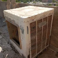 قاب کولر 6/500بزرگ  بدون پوسیدگی گی