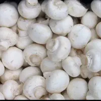 جهت همکاری