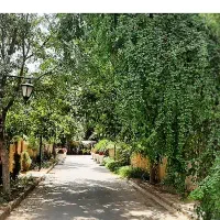 فروش-باغ-در-روستای-قره-تپه