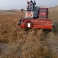 کمباین نخود مدل ۲۰۱۷ سوزکی