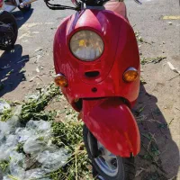 پاکشتی وینو