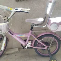 دوچرخه صورتی ۱۶