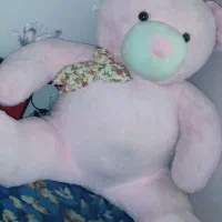 خرس بزرگ