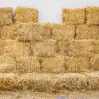 پرس گندم|لوازم جانبی حیوانات|قوچان, |دیوار