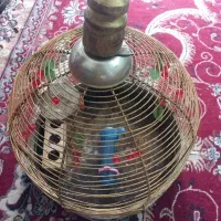 قفس پرنده