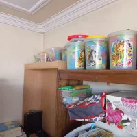 لگو سطلی